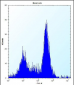 SDF2L1 Antibody (C-term)